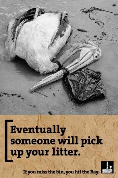 samanthaobrienpelican